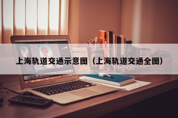 上海轨道交通示意图（上海轨道交通全图）