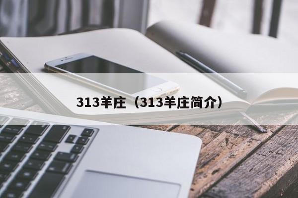 313羊庄（313羊庄简介）