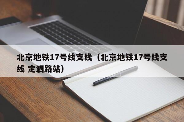 北京地铁17号线支线（北京地铁17号线支线 定泗路站）