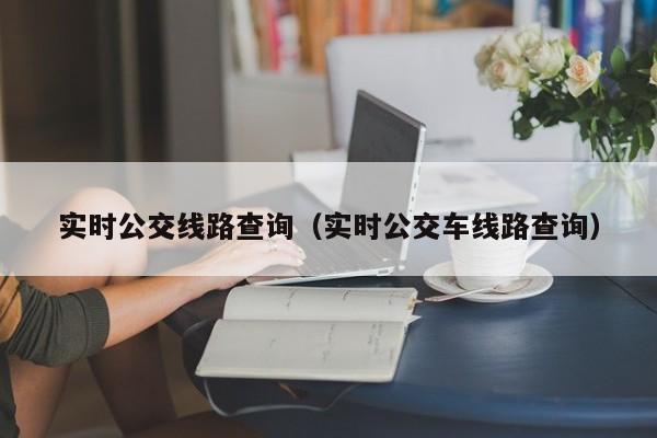 实时公交线路查询（实时公交车线路查询）