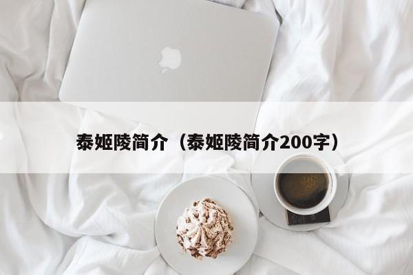 泰姬陵简介（泰姬陵简介200字）