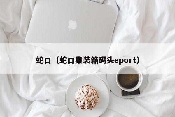 蛇口（蛇口集装箱码头eport）